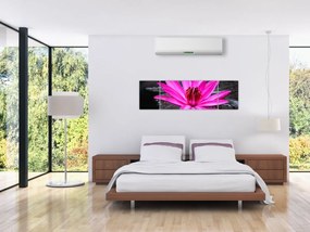 Obraz - różowy kwiat (170x50 cm)