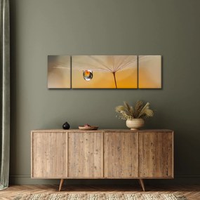 Obraz - Makro kwiat (170x50 cm)