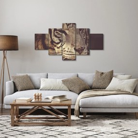 Obraz tygrysa (125x70 cm)