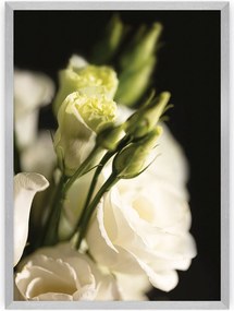 Plakat Dark Flowers I