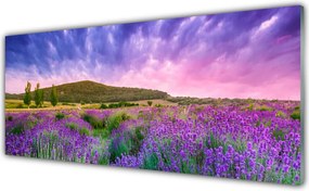 Szkło do Kuchni na Ścianę Alpejska Łąka W Kwiatach