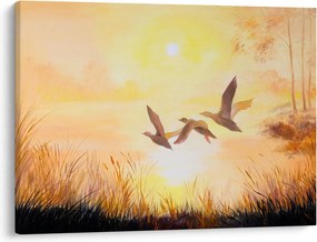 Obraz - Żurawie o zachodzie słońca (70x50 cm)