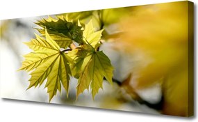 Obraz drukowany na płótnie Świeże Liście w Przybliżeniu