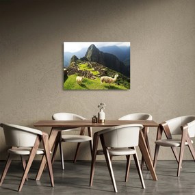 Obraz na szkle - Machu Picchu (70x50 cm)