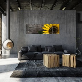 Obraz - Kwiat słonecznika (170x50 cm)