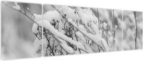 Obraz - Ośnieżone gałęzie (170x50 cm)
