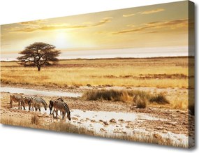 Duży obraz na płótnie Zebry na Afrykańskiej Sawannie