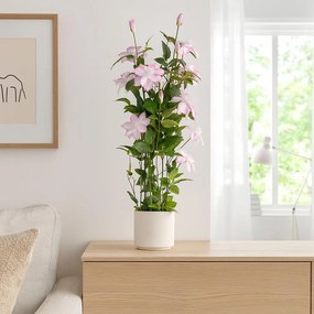 Sztuczny kwiat doniczkowy BLOMMA, 98 cm