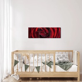 Obraz - Czerwona róża z kroplami rosy (z zegarem) (90x30 cm)