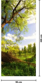 Fototapeta na drzwi - Wiosenna łąka (95x205cm)