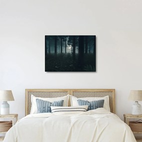 Obraz - Paproć w świetle księżyca (70x50 cm)