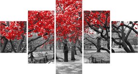 Obraz - Czerwone drzewa, Central Park, New York (125x70 cm)