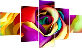Obraz - Kolorowa róża (125x70 cm)