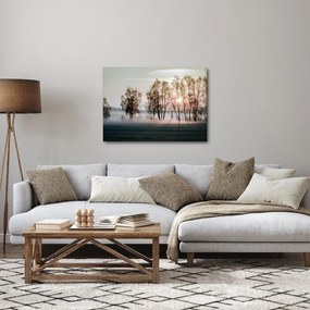 Obraz - Poranna suchość (70x50 cm)