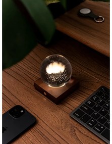 Ciemnobrązowa lampa stołowa LED z litego drewna orzechowego ze ściemniaczem i szklanym kloszem (wysokość 12 cm) Amber – Gingko