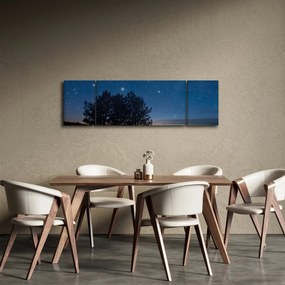 Obraz drzew w nocy (170x50 cm)
