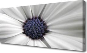 Duży obraz na płótnie Kwiatowy Akcent Wnętrza