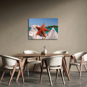 Obraz rozgwiazdy (70x50 cm)