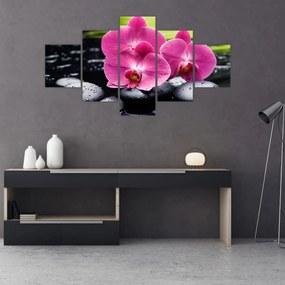 Obraz - Różowe orchidee z liściem palmy (125x70 cm)