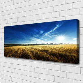 Obraz canvas na ścianę Słoneczne Łany Zboża