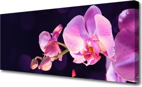 Obraz na płótnie Kompozycja Kwiatów i Liści