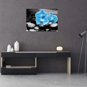 Obraz - Niebieska Orchidea (70x50 cm)