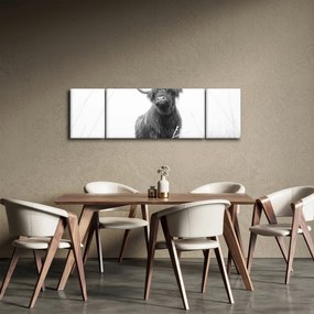Obraz - Szkocka krowa 4, czarno - biały (170x50 cm)