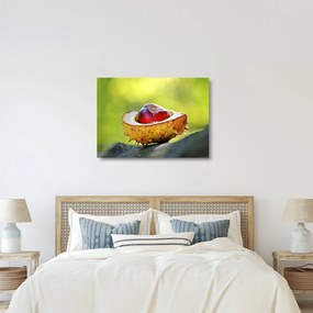 Obraz na szkle - kasztanowce (70x50 cm)
