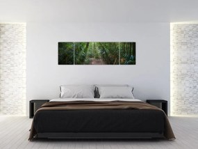 Obraz - Promienie słońca w dżungli (170x50 cm)