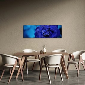 Obraz niebieskiej róży (z zegarem) (90x30 cm)