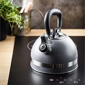 Szary tradycyjny czajnik z gwizdkiem na indukcję G2-K53