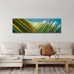 Obraz - Detal liścia palmowego (170x50 cm)