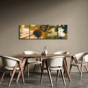 Obraz motyla na kwiatku (170x50 cm)