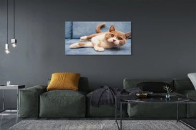 Duży obraz na płótnie Kot w Pozycji Leżącej