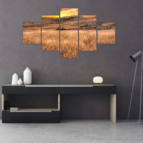 Obraz pola (125x70 cm)