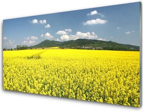 Panel Szklany Złociste Pole Rzepaku