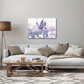 Obraz - Motyl i lawenda (70x50 cm)