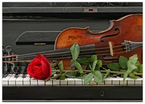 Obraz na szkle - Pamięć muzyka (70x50 cm)