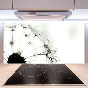 Panel Kuchenny Puszysta Kula Mniszka