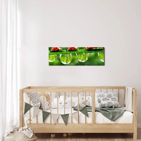 Obraz - Sunshine of the Seven Suns (z zegarem) (90x30 cm)