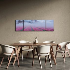 Obraz - Krajobraz z polami tulipanów (170x50 cm)