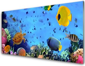 Szkło do Kuchni na Ścianę Podwodny Świat Rafy Koralowej