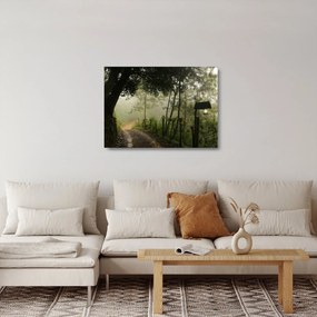 Obraz na szkle porannej mgły (70x50 cm)