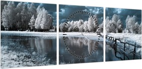 Obraz - Zamarznięty krajobraz (z zegarem) (90x30 cm)
