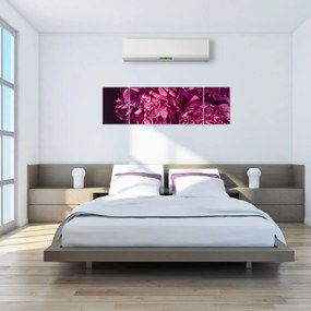 Obraz - Kwiaty piwonii (170x50 cm)