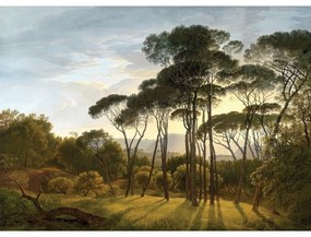 Fototapeta XXL Old Forest 360 x 254 cm, 4 części