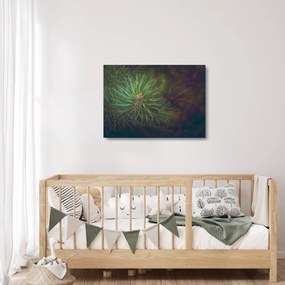 Obraz na szkle - Detal sosny (70x50 cm)