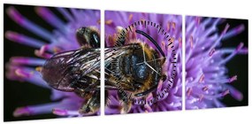 Obraz pszczoły na kwiatku (z zegarem) (90x30 cm)