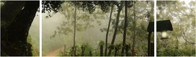 Obraz porannej mgły (170x50 cm)