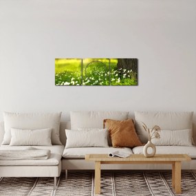 Obraz polany i kwiatów (z zegarem) (90x30 cm)